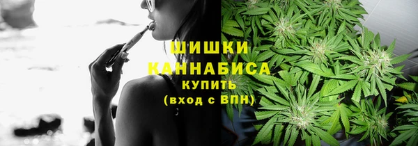 ПСИЛОЦИБИНОВЫЕ ГРИБЫ Абинск