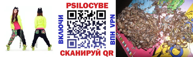 Псилоцибиновые грибы Psilocybine cubensis  где можно купить   Тарко-Сале 